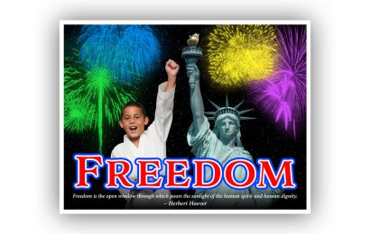Freedom Motivational Poster Freedom Motivational Poster