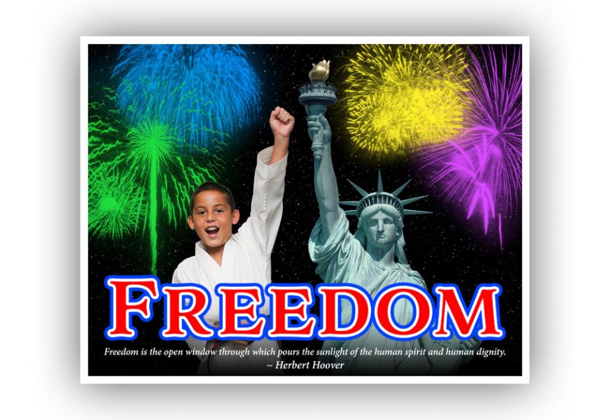 Freedom Motivational Poster
