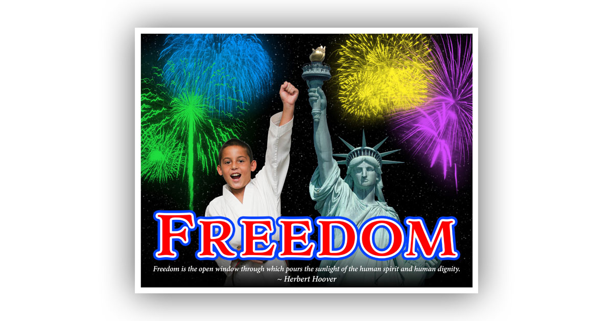 freedom poster