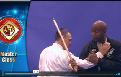 Self-Defense Using a Cane Self-Defense Using a Cane